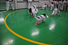DSC01388[1]_thumb.png